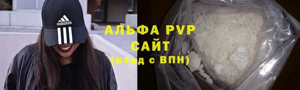 дмт Нея