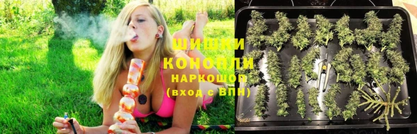 бошки Надым
