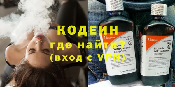 дмт Нея