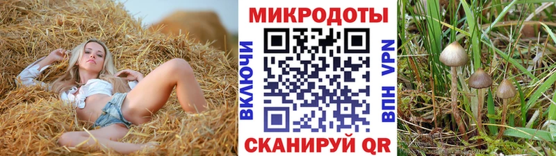 Псилоцибиновые грибы Magic Shrooms  наркошоп  Йошкар-Ола 