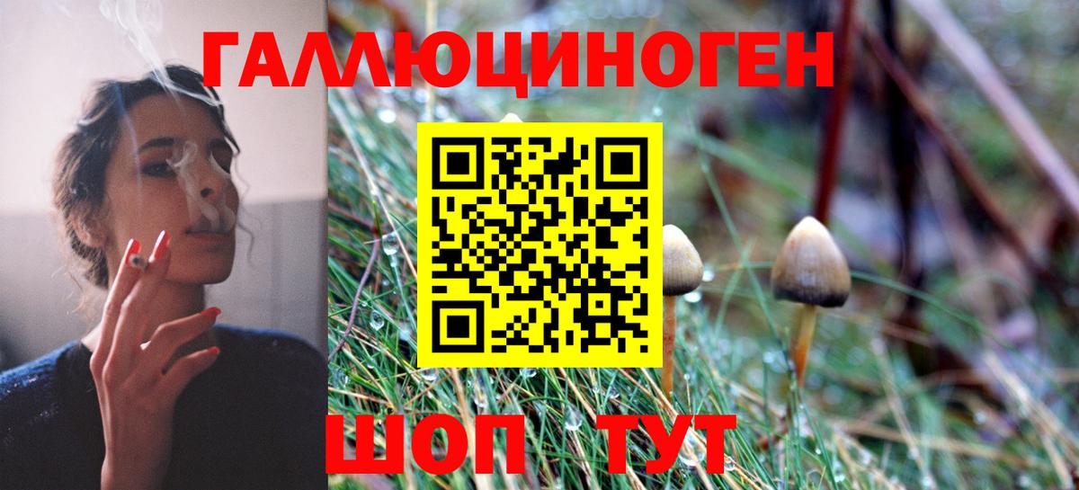 Псилоцибиновые грибы мицелий Йошкар-Ола