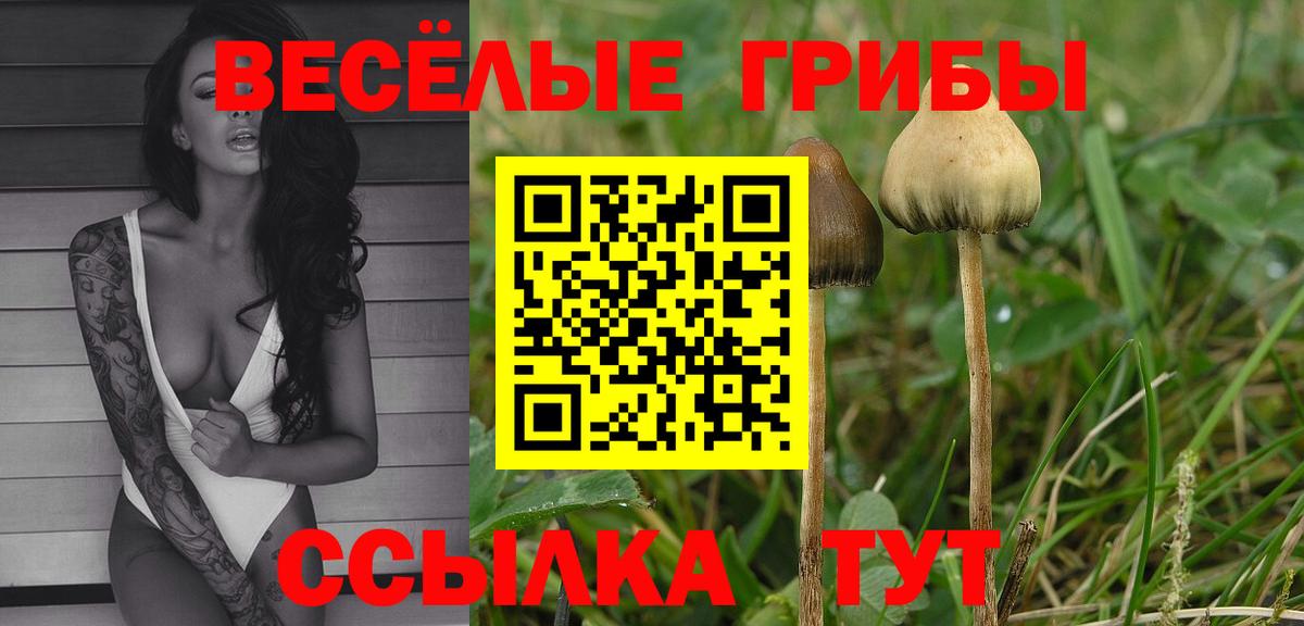 что такое   Галлюциногенные грибы Psilocybine cubensis  Вход с VPN  Йошкар-Ола 