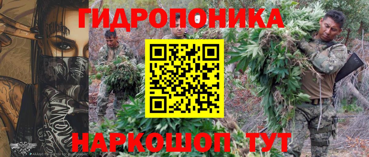 Каннабис план Йошкар-Ола